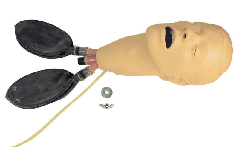 Head Assembly, Intubation w/Lungs, Adult Male